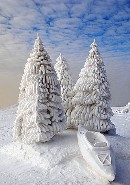 МЕЖДУНАРОДНЫЙ снежный КОНКУРС - КАНАДА  Snow_sculpture1