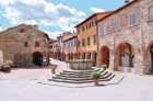 Ingrandisci la foto